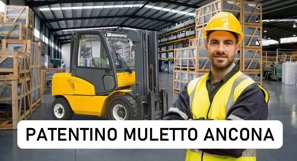 Corso Patentino Muletto Ancona